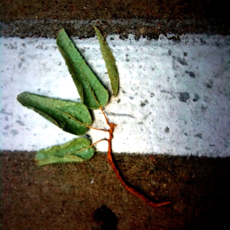 The First Sigil I saw.